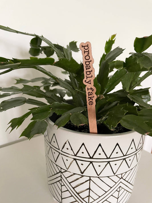 Punny Plant Stakes/ Funny Plant Markers