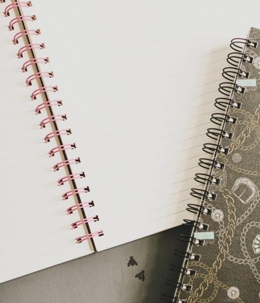 Noteworthy *Pony Pop