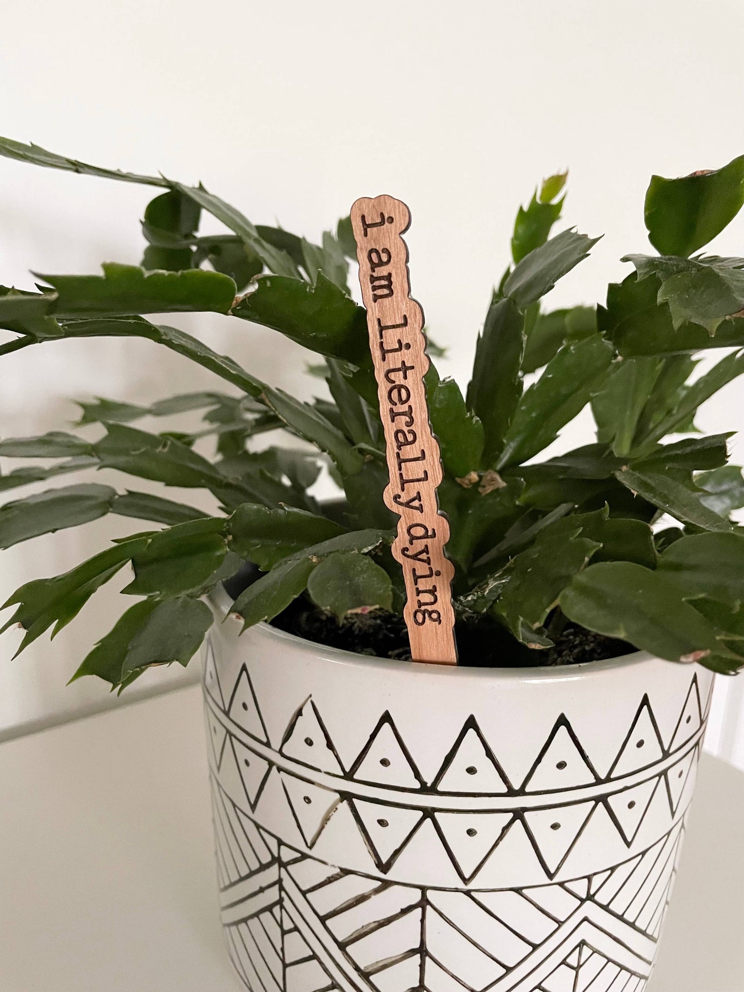 Punny Plant Stakes/ Funny Plant Markers