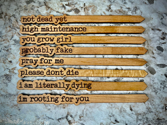 Punny Plant Stakes/ Funny Plant Markers