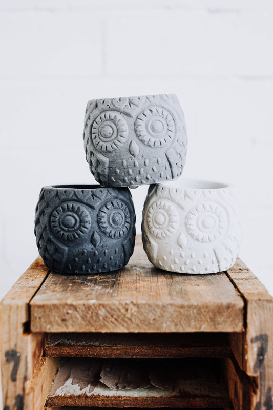 Concrete Owl Planter - Natural Gray