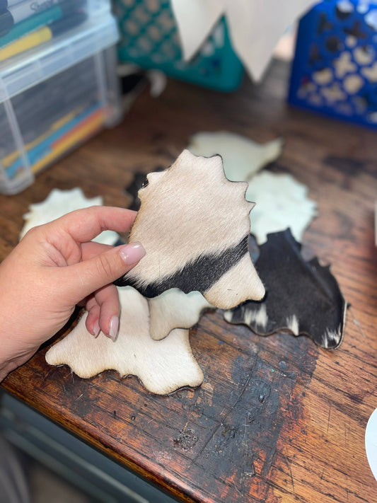 Western Cowhide Rug Coasters
